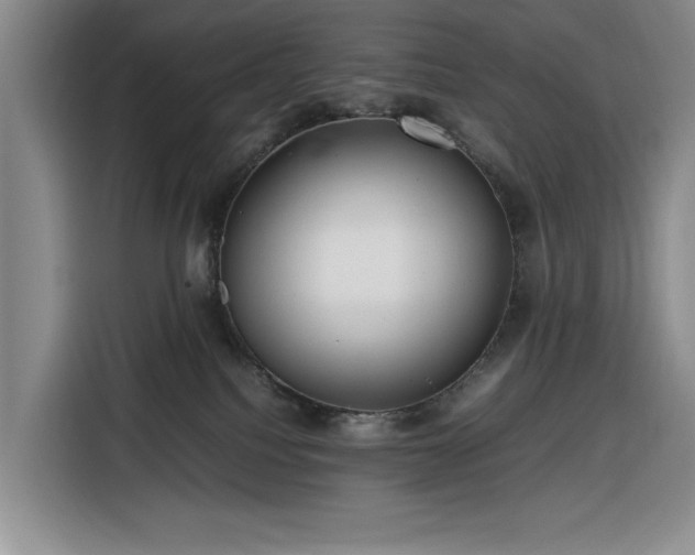 X0000116270088200912071051