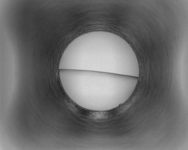 X0000116270089200912071051
