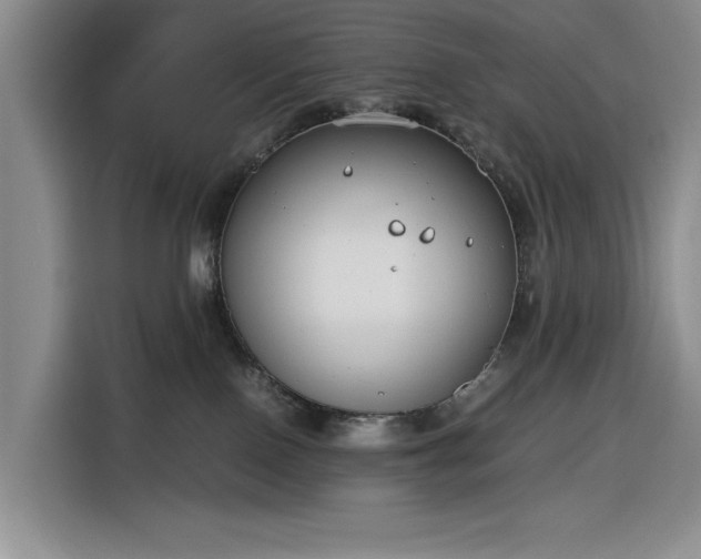 X0000116270090200912071051
