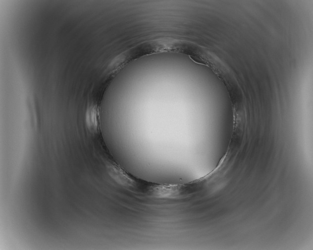 X0000116270094200912071051