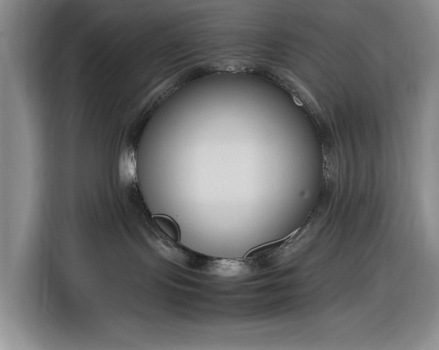 X0000116270095200912071051
