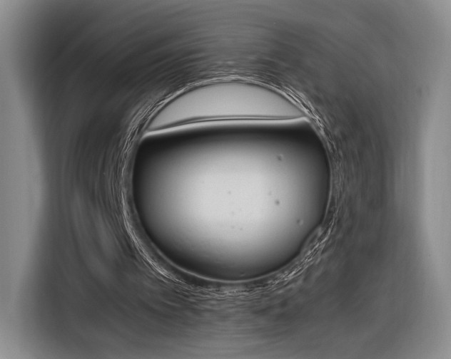 X0000116270097200912071050