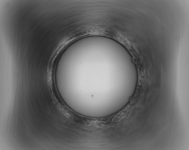 X0000116270098200912071050