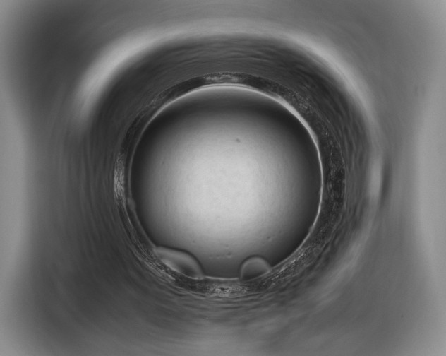X0000116270099200912071050