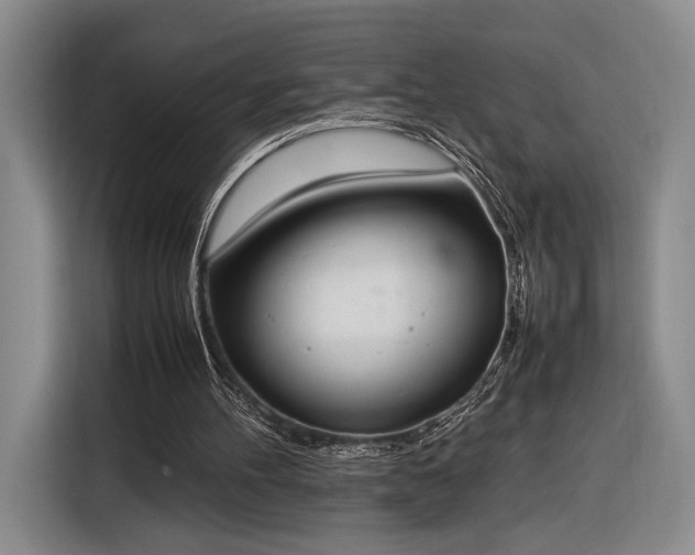 X0000116270100200912071050