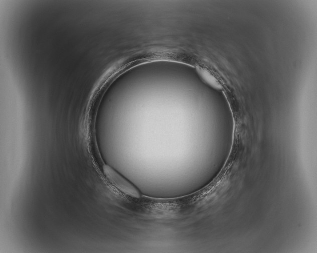 X0000116270101200912071050