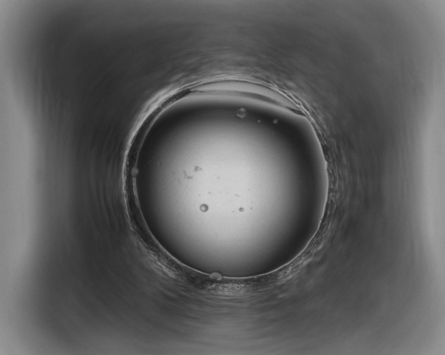 X0000116270104200912071050