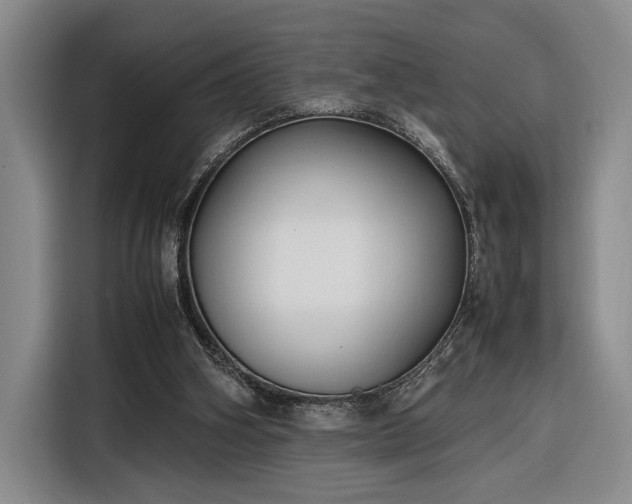 X0000116270106200912071050