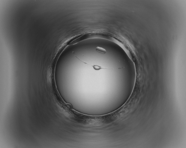 X0000116270107200912071050