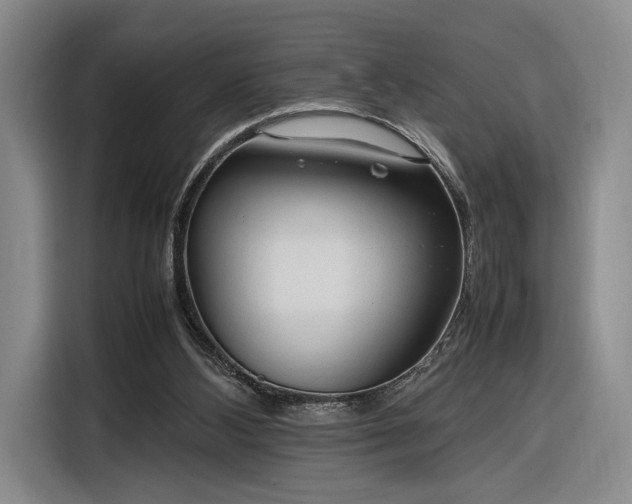 X0000116270108200912071050