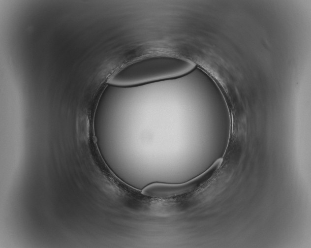 X0000116270109200912071050