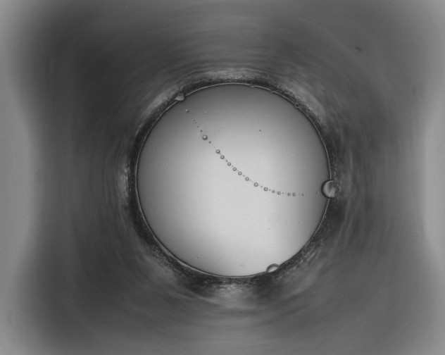 X0000116270111200912071050