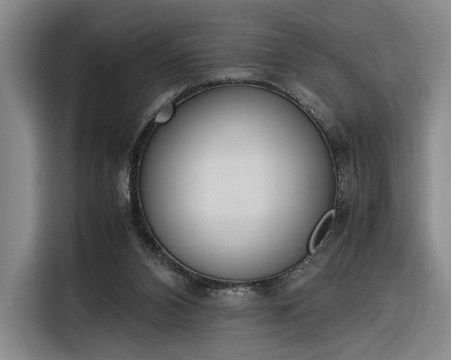 X0000116270112200912071050