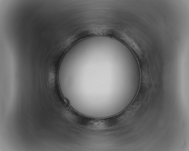 X0000116270113200912071050