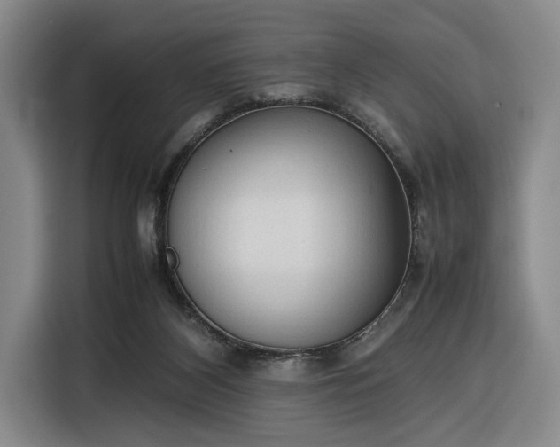 X0000116270116200912071050