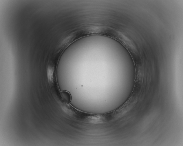 X0000116270118200912071050