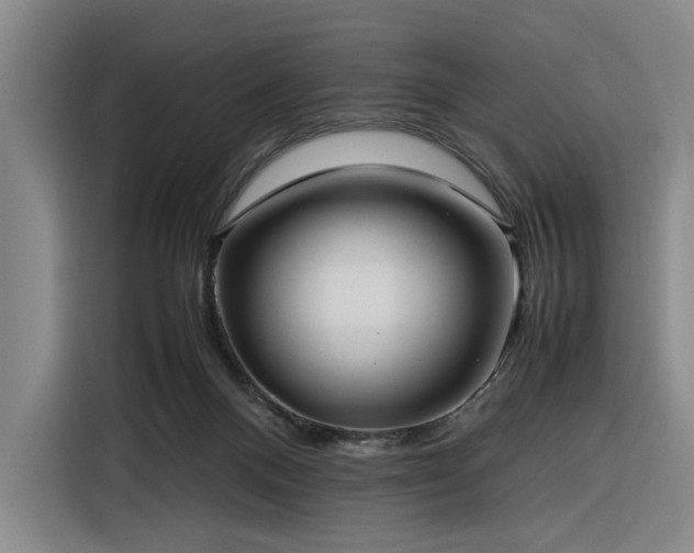 X0000116270120200912071050