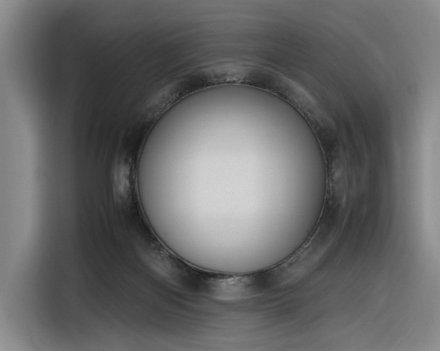 X0000116270122200912071050