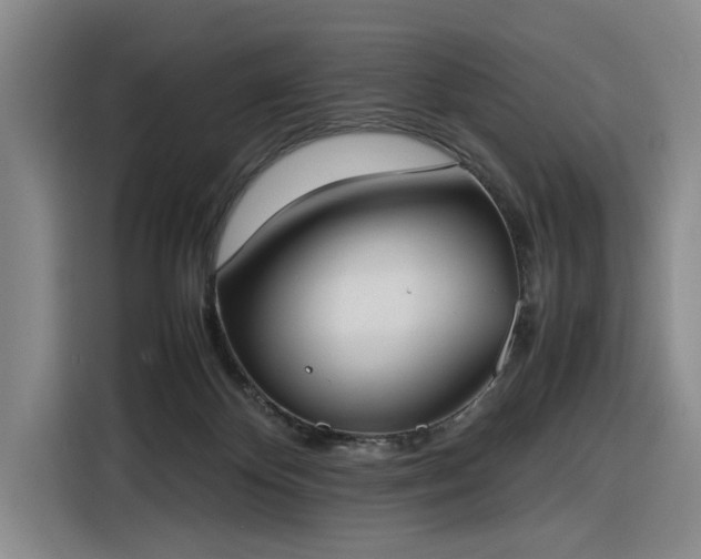 X0000116270124200912071050