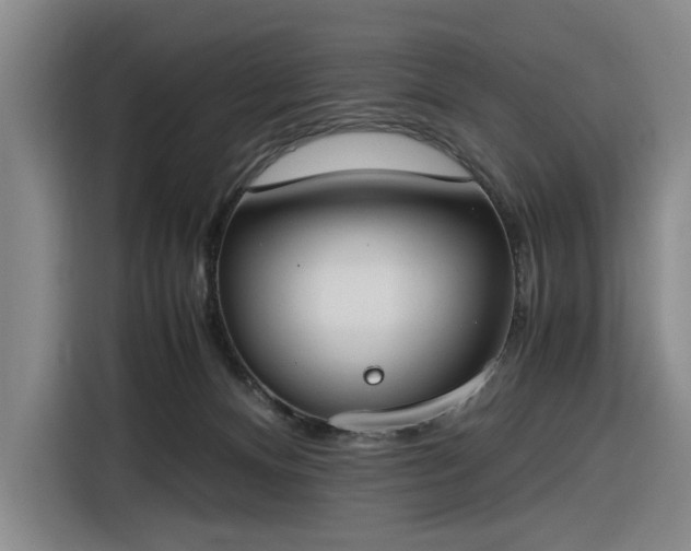 X0000116270128200912071050