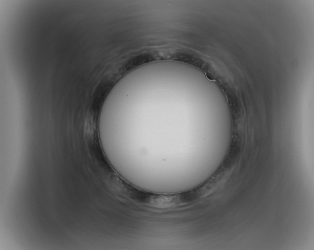 X0000116270129200912071050