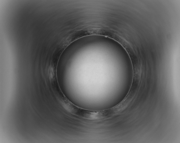 X0000116270130200912071050
