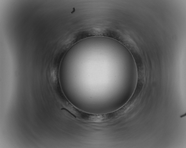 X0000116270131200912071050