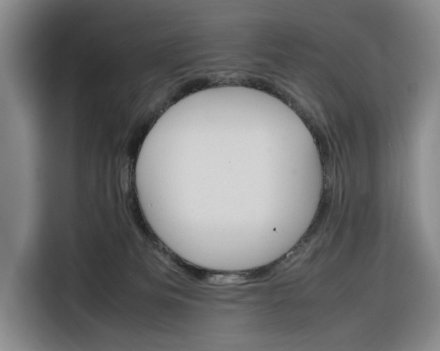 X0000116270133200912071050
