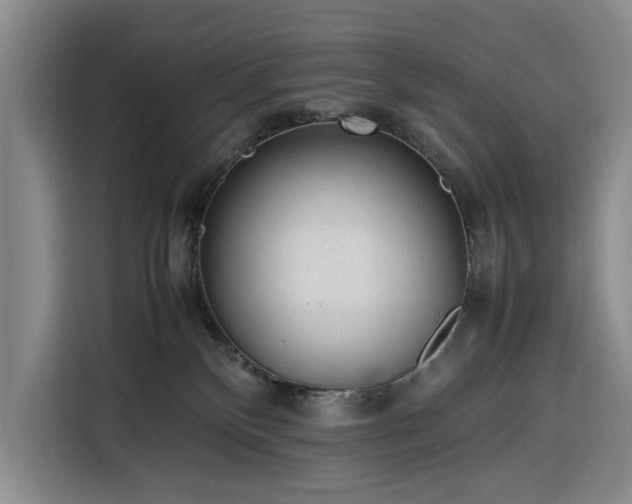 X0000116270136200912071050