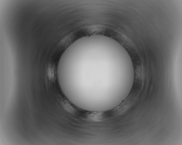 X0000116270138200912071050