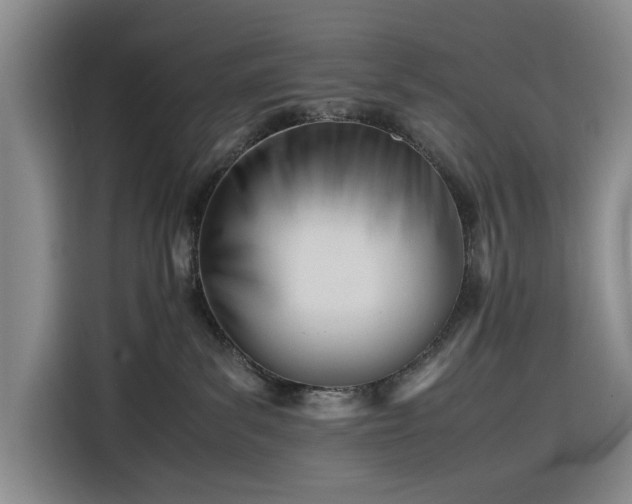 X0000116270139200912071050