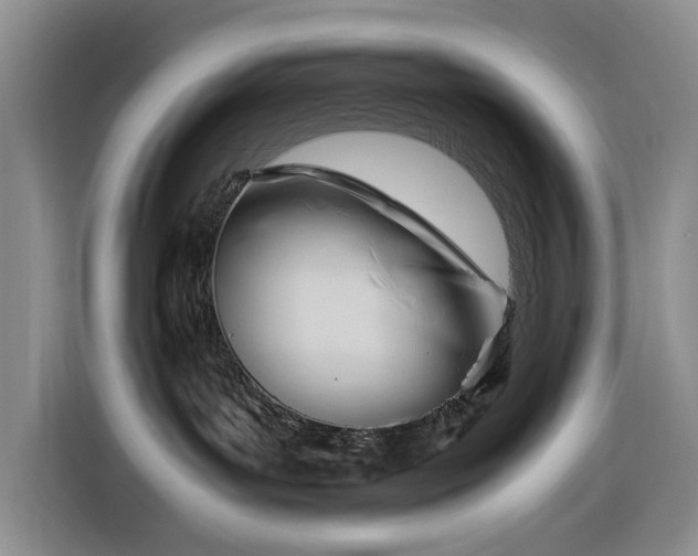 X0000116270143200912071050