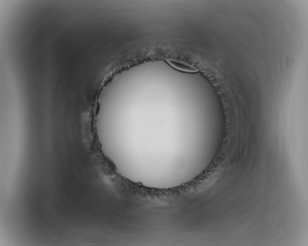 X0000116270144200912071050