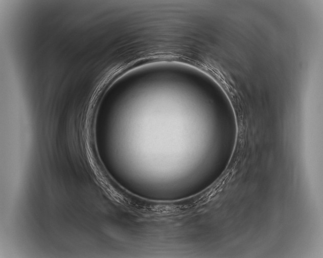X0000116270145200912071049