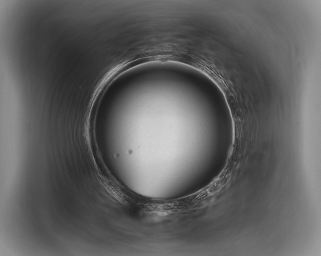 X0000116270147200912071049