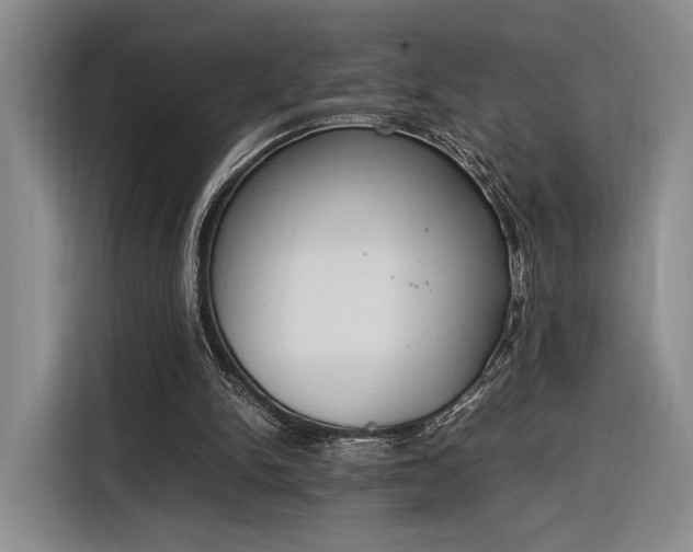 X0000116270150200912071049