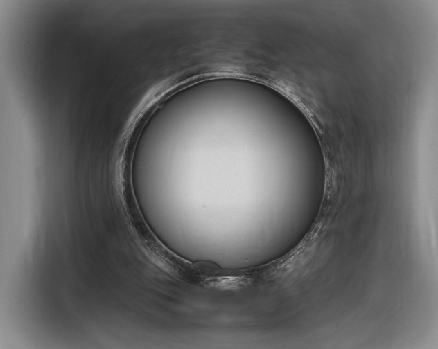 X0000116270151200912071049