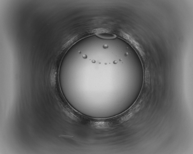 X0000116270153200912071049