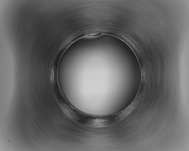 X0000116270158200912071049