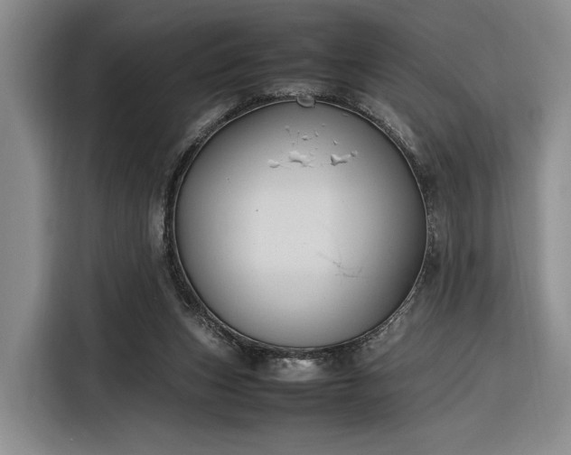 X0000116270159200912071049