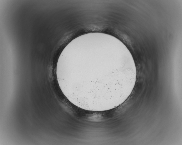 X0000116270162200912071049