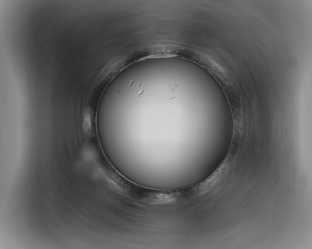 X0000116270166200912071049