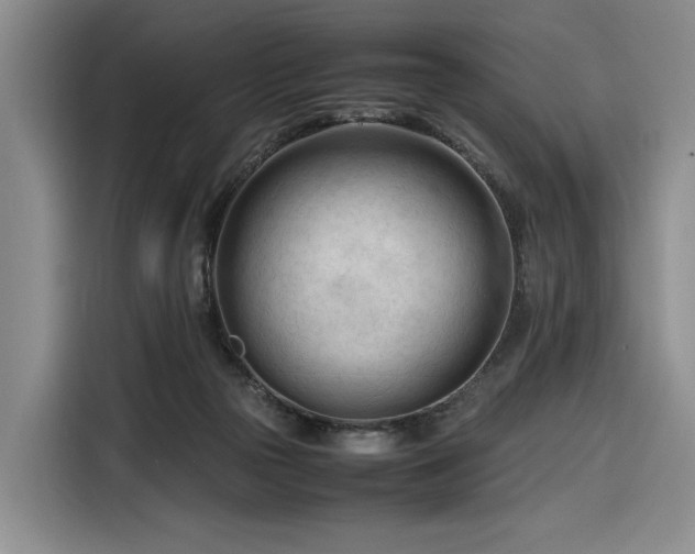 X0000116270169200912071049