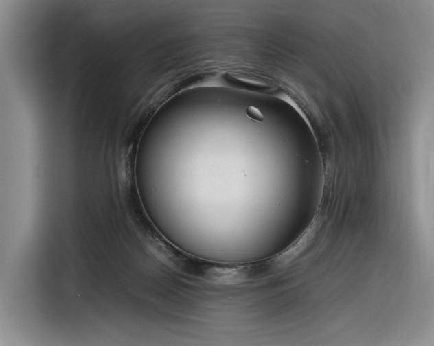 X0000116270170200912071049