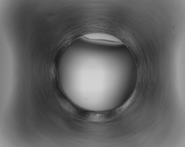 X0000116270174200912071049