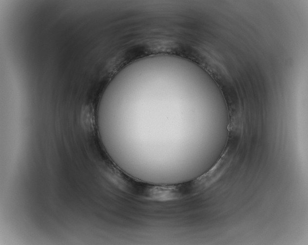 X0000116270179200912071049