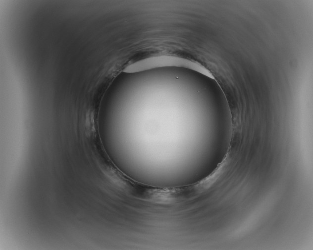 X0000116270182200912071049