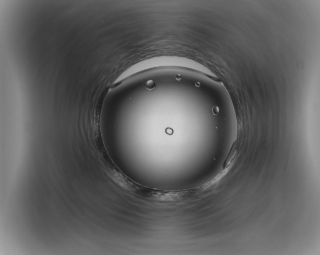 X0000116270186200912071050