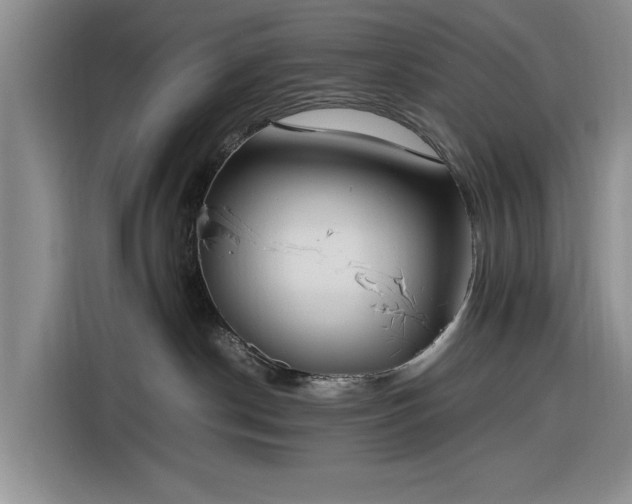 X0000116270190200912071050