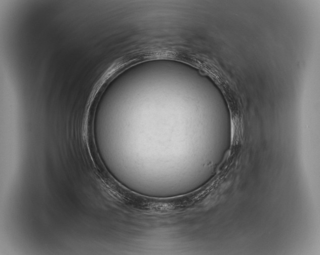 X0000116270195200912071049